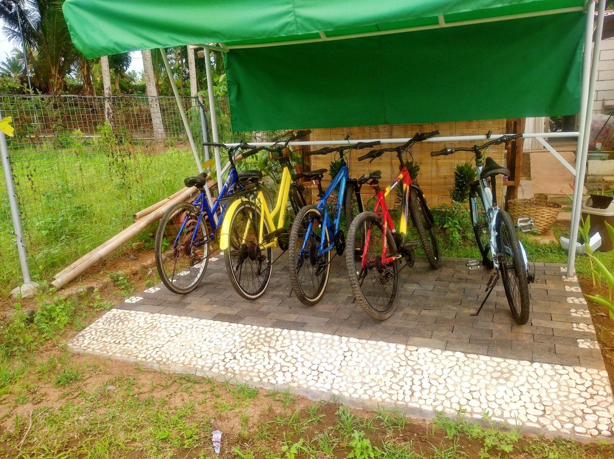 Wooden Kemiren Homestay Banyuwangi Banyuwangi  Bagian luar foto