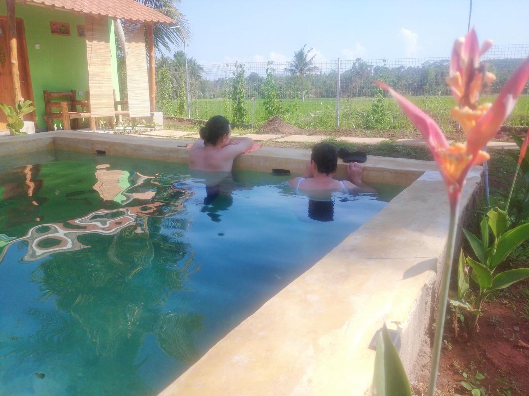 Wooden Kemiren Homestay Banyuwangi Banyuwangi  Bagian luar foto